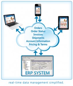 Ecommerce with ERP integration