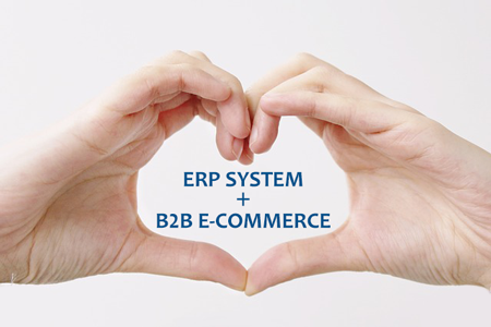 ERP and E-commerce Integration